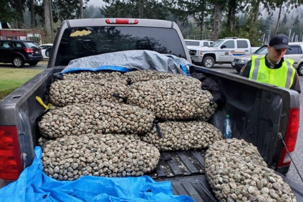 Year in Review, July – December