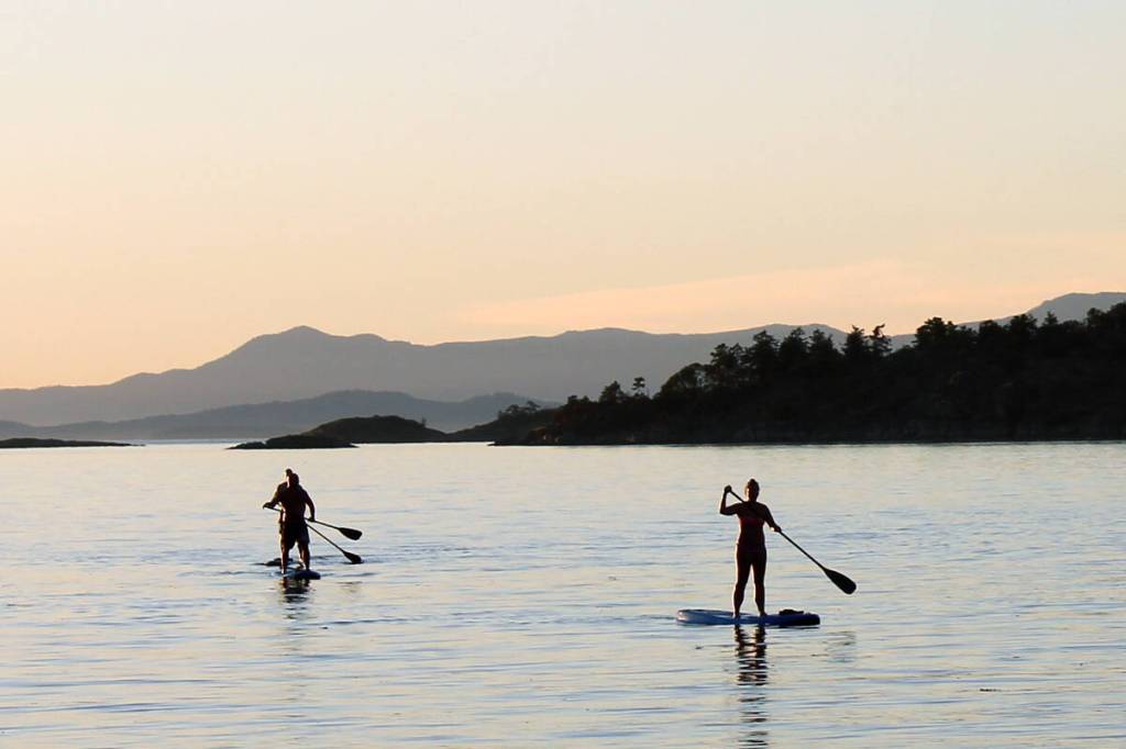 Virtual movie evening pairs two short films and Q&A panel | Campbell River Mirror